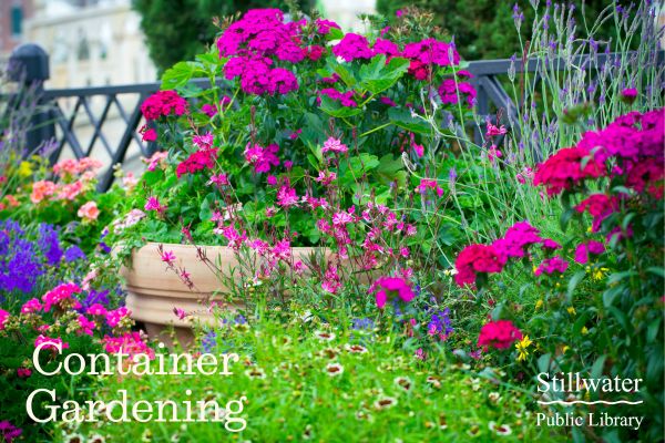 April 29 Container Gardening