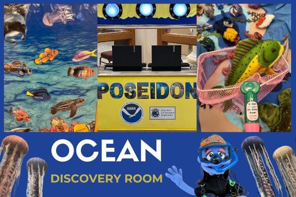 Discovery Room: An Oceanic Adventure