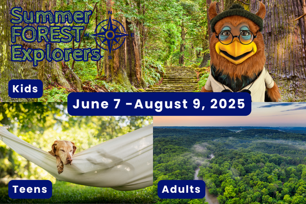 Summer Explorers 2025
