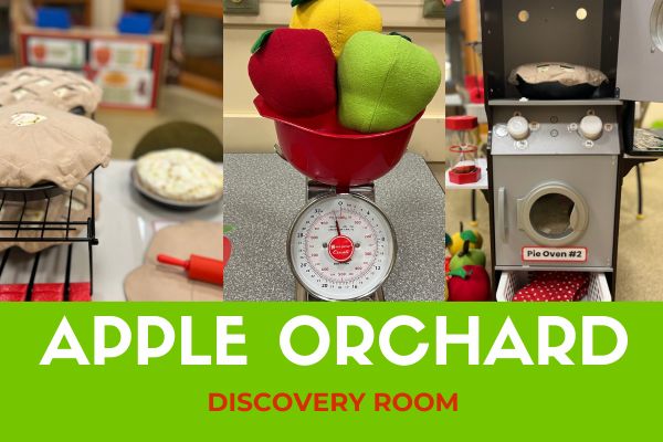 Discovery Room: Pick Your Own Fun