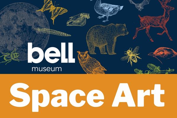 Space Art with Bell Museum