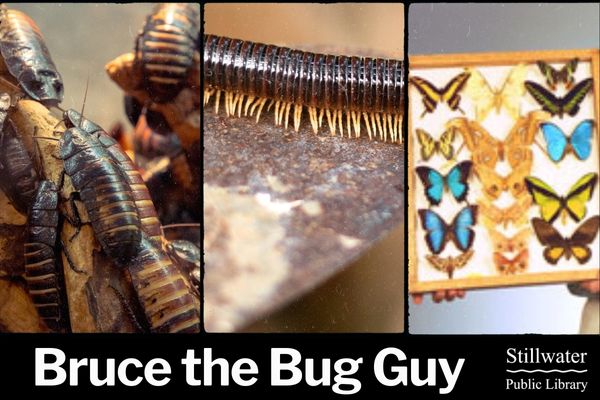 Bruce the Bug Guy