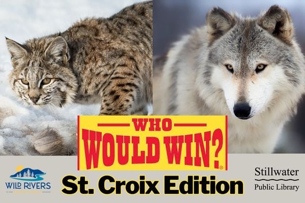 Who Would Win?