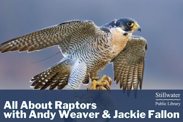 Nov 6 All About Raptors