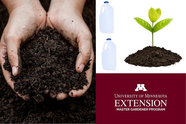 hands cupping planting dirt on left, image of two plastic milk jugs in middle and then a seedling sprouting from a pile of dirt on right