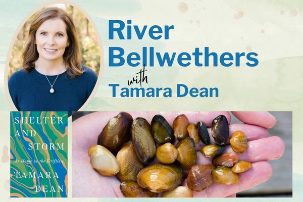 Photo of author Tamara Dean, cover of her book, and pictures of freshwater mussels