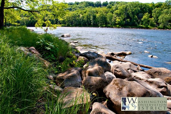 St. Croix River view from shoreline