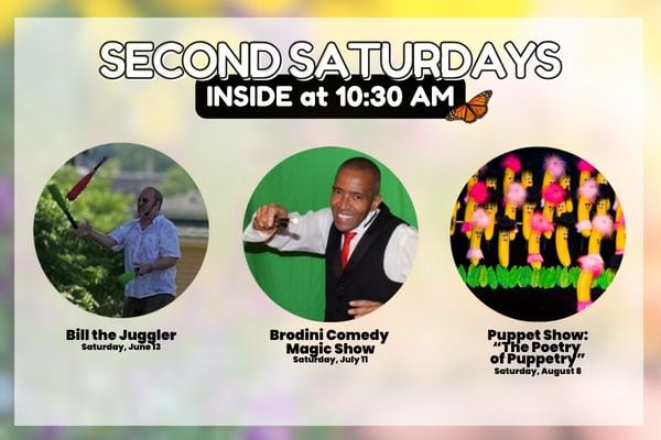 Circles with three vendors for Second Saturdays