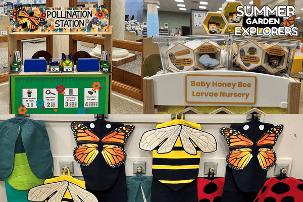 In the Discovery Room: Pollination Station
